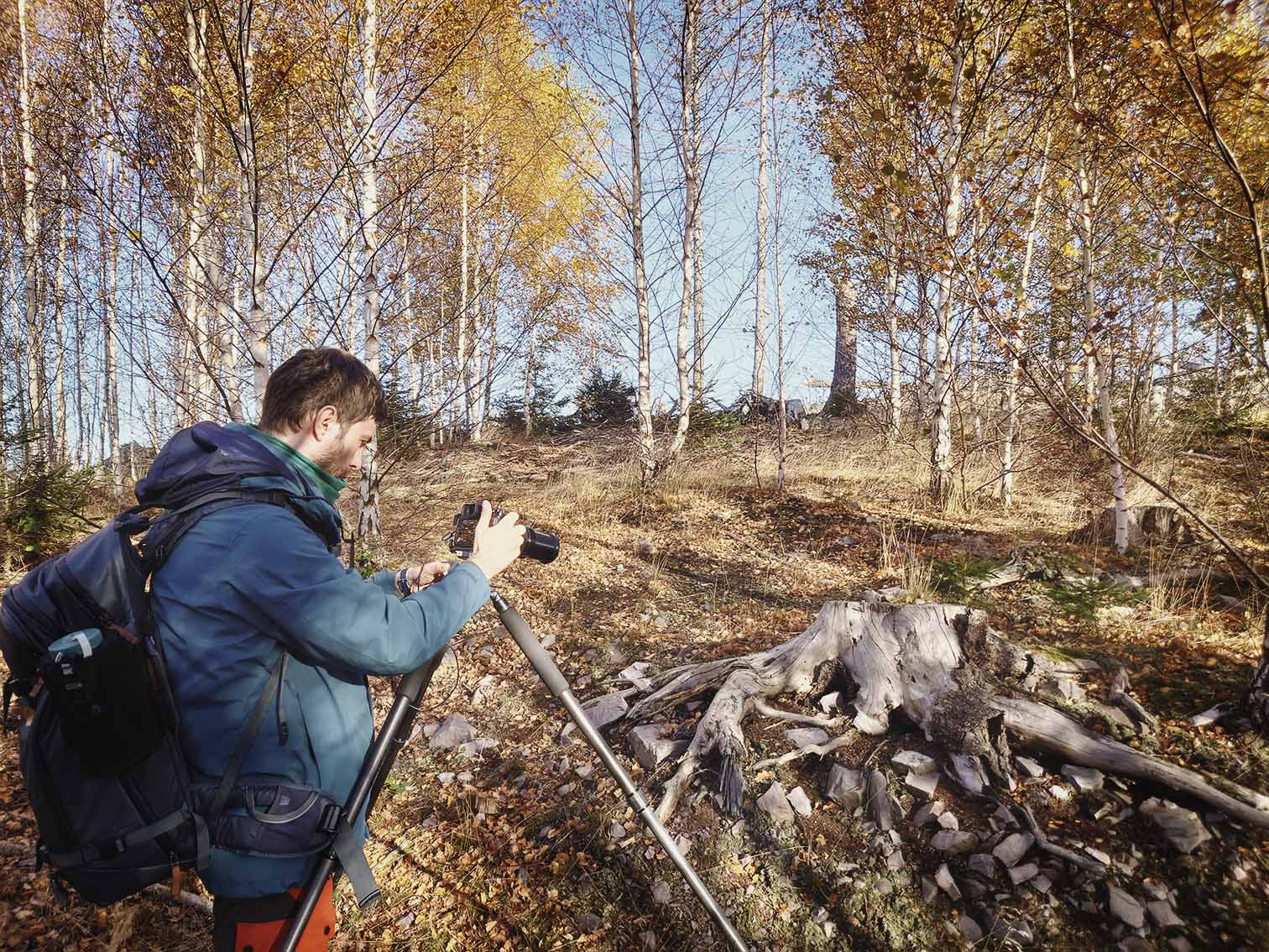 Me making a photo of a dead tree